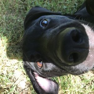 Meet your Posher, Caleb